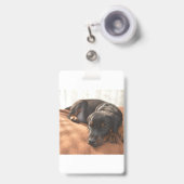 Badge chiot doberman-pinscher (Avant avec rétractable)