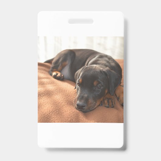 Badge chiot doberman-pinscher (Avant)