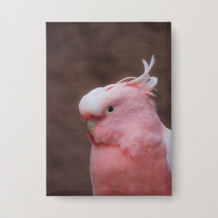 Badge Cockatoo rose