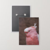 Badge Cockatoo rose (Recto/Verso)