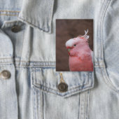 Badge Cockatoo rose (Insitu)