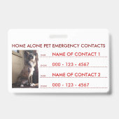 Badge contacts d'urgence pour animaux de compagnie (Arrière)