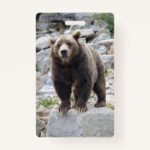 Badge Cook bear (Dos)