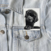 Badge Curieux chiot Terre-Neuve noir qui regarde (Insitu)