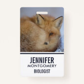 Badge Cute Little Fox Curling Up Winter Photo (Devant)