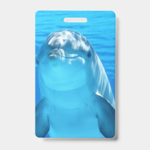 Badge Dauphin mignon animal marin en mer bleue