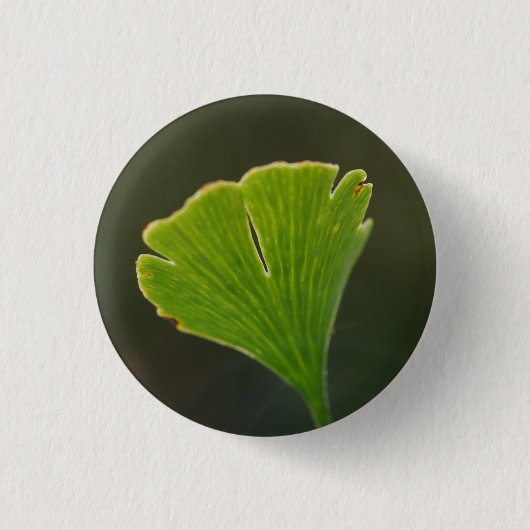 Badge de feuille Ginkgo (Devant)