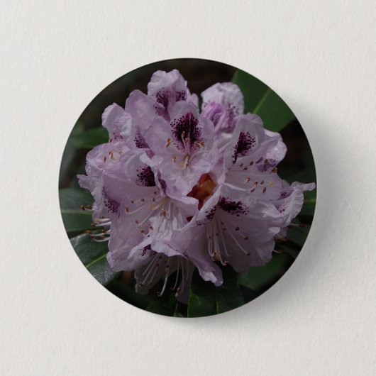 Badge de fleurs Rhododendron (Devant)