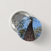 Badge de la Gerche Ponderosa Pine (Devant & derrière)