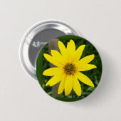 Badge de tournesol ou bouton (Devant & derrière)