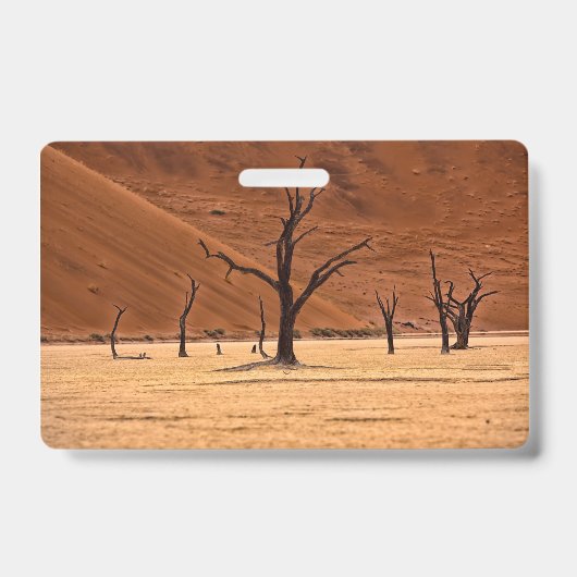 Badge Dead Vlei, Namibie (Avant)