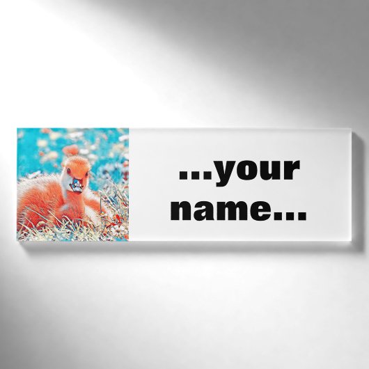 Badge D'identification AnimalMix_Bird_019 (Devant)