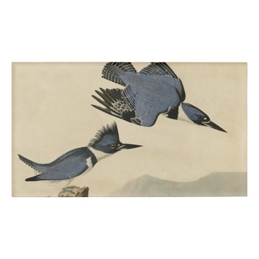 Badge D'identification Audubon Belted Kingfisher Wildlife Bird (Devant)