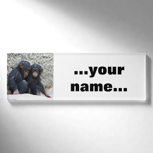 Badge D'identification Chimpanzé 022 (Devant)