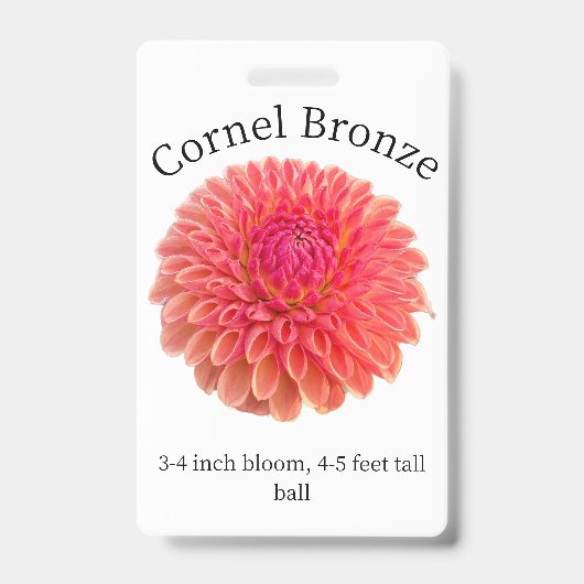 Badge d'identification Dahlia Bronze Cornel (Avant)
