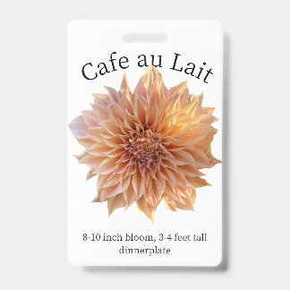 Badge d'identification Dahlia Café au Lait