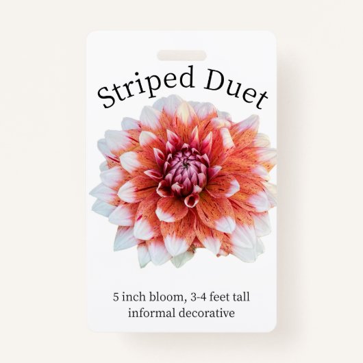 Badge d'identification Dahlia Duet strié (Devant)