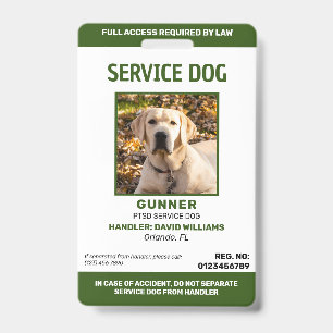 Badge d'identification de chien d'assistance vert