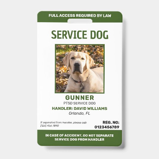 Badge d'identification de chien d'assistance vert (Avant)
