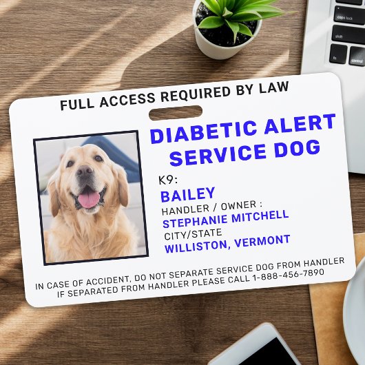 Badge d'identification de chien de service d'alert