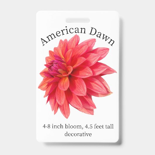 Badge d'identification de Dahlia de l'aube américa (Avant)