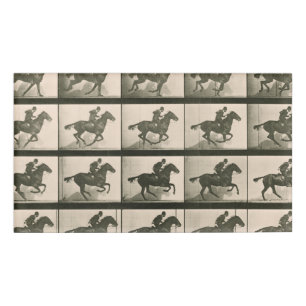 Badge D'identification Horse Motion Photographie Vintage
