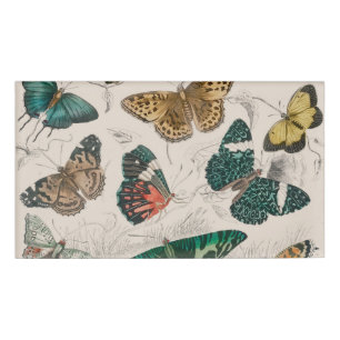 Badge D'identification Illustration de papillon antique : 1820 Orfèvre