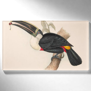 Badge D'identification Impression du Toucan de Cuvier : Oiseau Tropical V