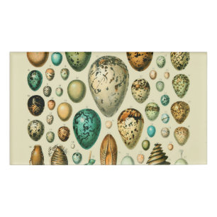 Badge D'identification Œufs d'oiseaux vintage Art d'œuf de poisson frança