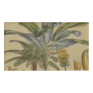 Badge D'identification Palm Antique Fruit Tropical Art Botanique