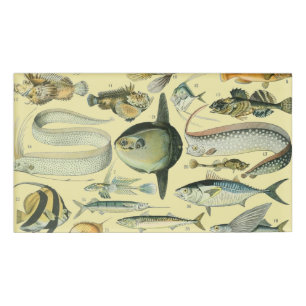 Badge D'identification Pêche scientifique vintage