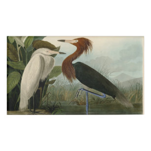Badge D'identification Peinture de la faune d'Audubon Heron violet