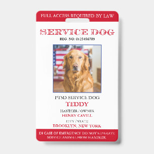 Badge d'identification personnalisé pour chien d'a
