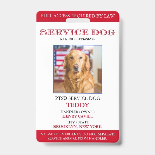 Badge d'identification personnalisé pour chien d'a (Avant)