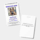 Badge d'identification personnalisé pour chien de (Avant & arrière)