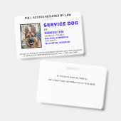 Badge d'identification personnalisé pour chien de (Avant & arrière)