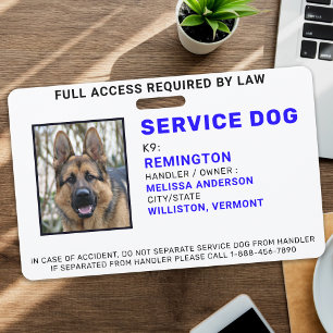 Badge d'identification personnalisé pour chien de