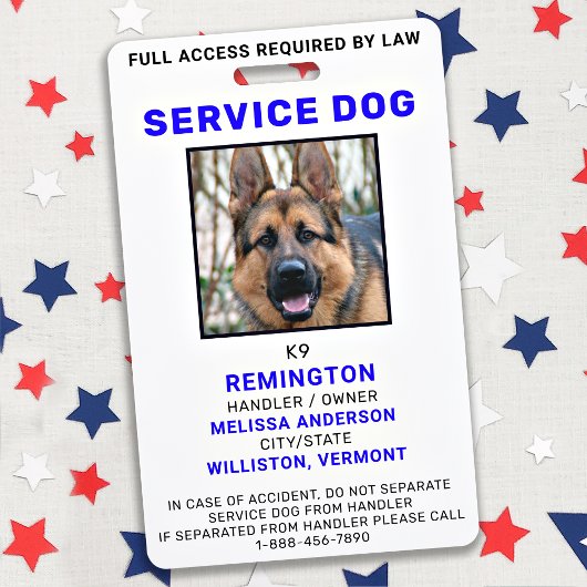 Badge d'identification personnalisé pour chien de