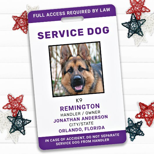 Badge d'identification personnel violet pour chien
