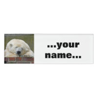 PolarBear 001