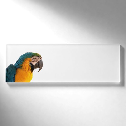 Badge D'identification Post-it Notes perroquet (Devant)