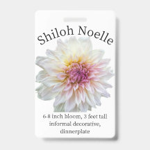 Badge d'identification Shiloh Noelle Dahlia