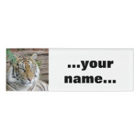 Tiger_002