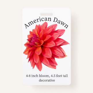 Badge d'identité American Dawn Dahlia