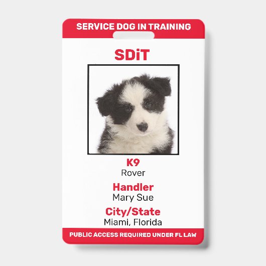 Badge d'information SDiT (Chien de Service en Form (Avant)