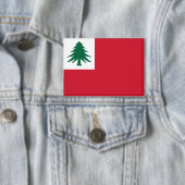 Badge Drapeau du pin de Nouvelle-Angleterre (Insitu)