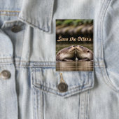 Badge Enregistrer les Otters (Insitu)