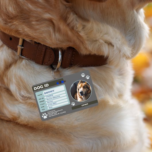Badge Étiquette d'identification de chien moderne gris v