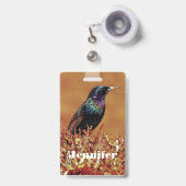 Badge Étourneau sansonnet (Avant avec rétractable)
