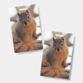 Badge Faux possum (Avant & arrière)